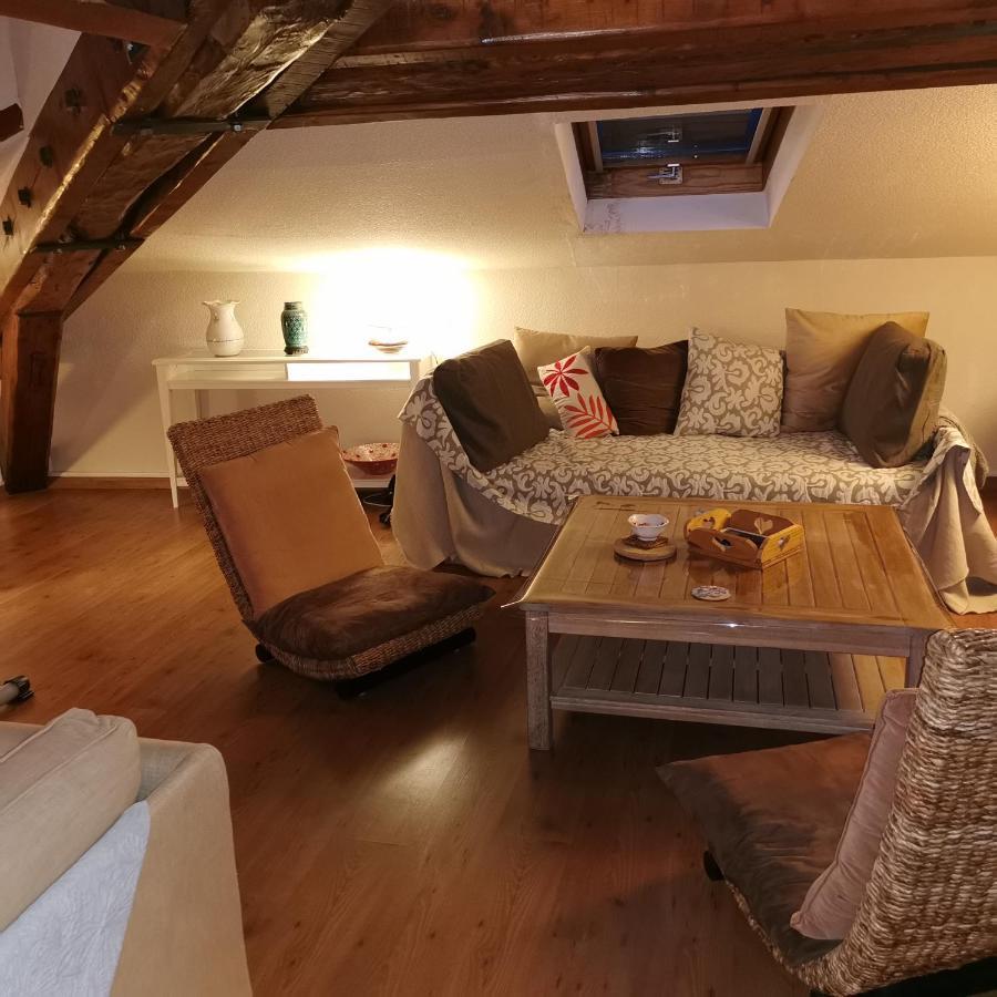 Cosy And Calm In Grenoble City Heart With Free And Large Parking Q-Park Chavant Ngoại thất bức ảnh